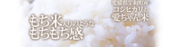 もち米入りのようなもちもち感・愛媛県宇和町産コシヒカリの愛ちゃん米