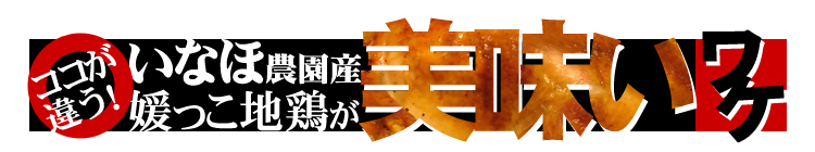 ココが違う！いなほ農園産媛っこ地鶏が美味いワケ