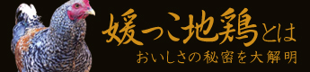 媛っこ地鶏とは~おいしさの秘密を大解明